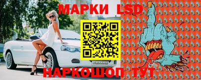 гашик Аргун