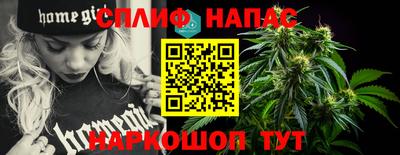 гашик Аргун