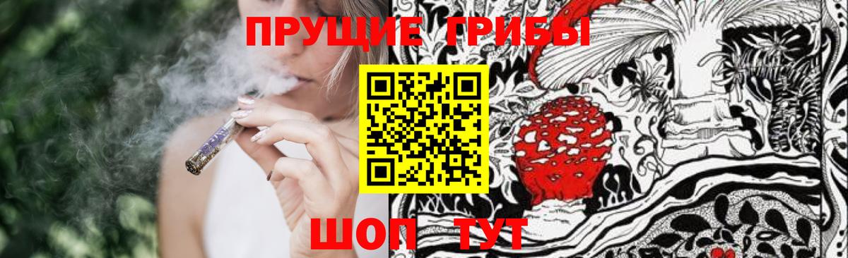 Галлюциногенные грибы Psilocybine cubensis  Вход с VPN  Всеволожск  где продают наркотики  Псилоцибиновые грибы MAGIC MUSHROOMS 