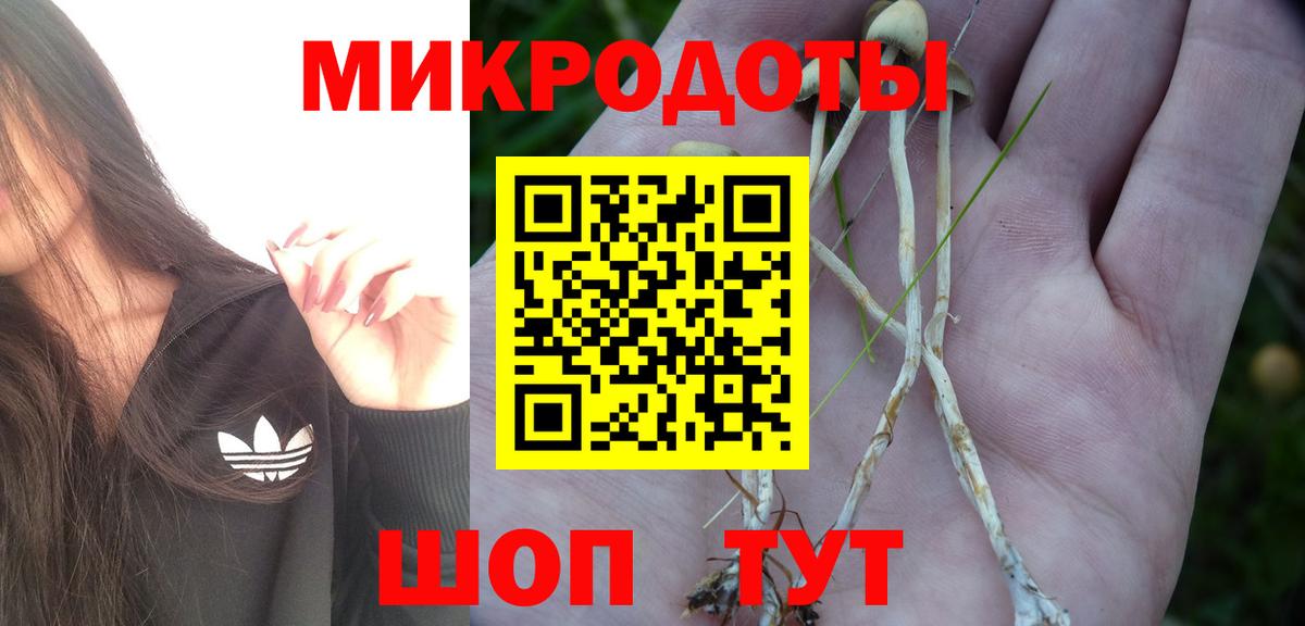 Псилоцибиновые грибы MAGIC MUSHROOMS Всеволожск